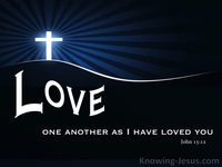 The Highest Love